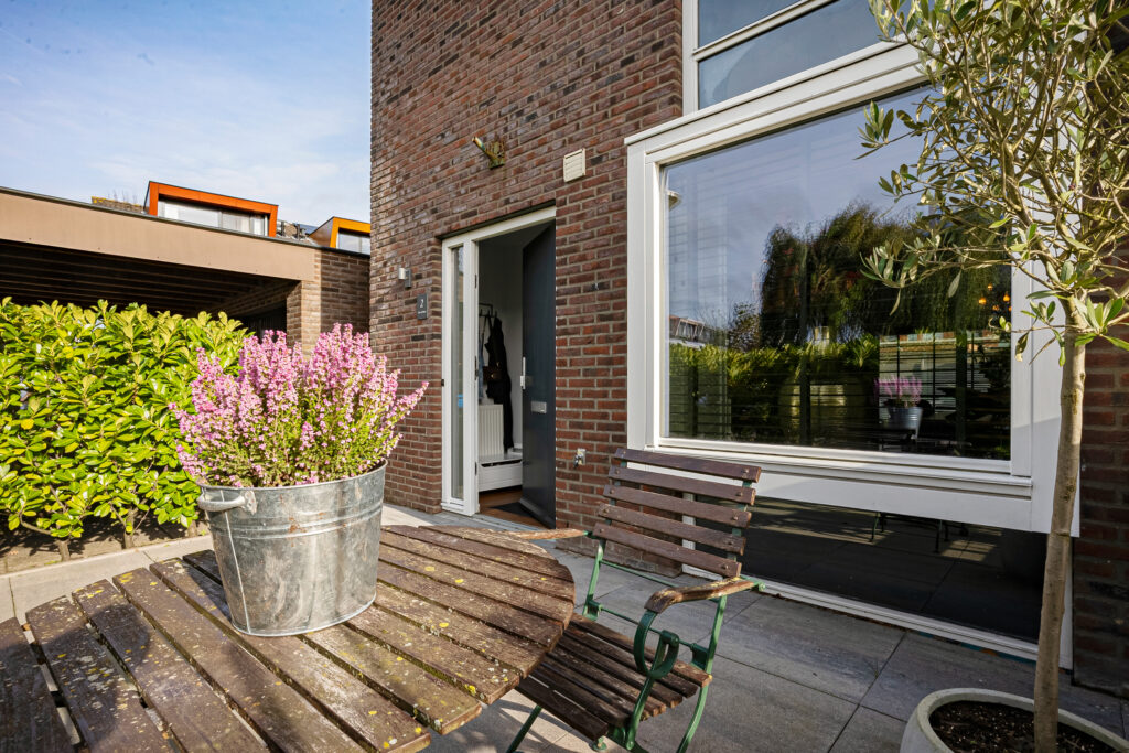 Kruiswortel 2 – Foto