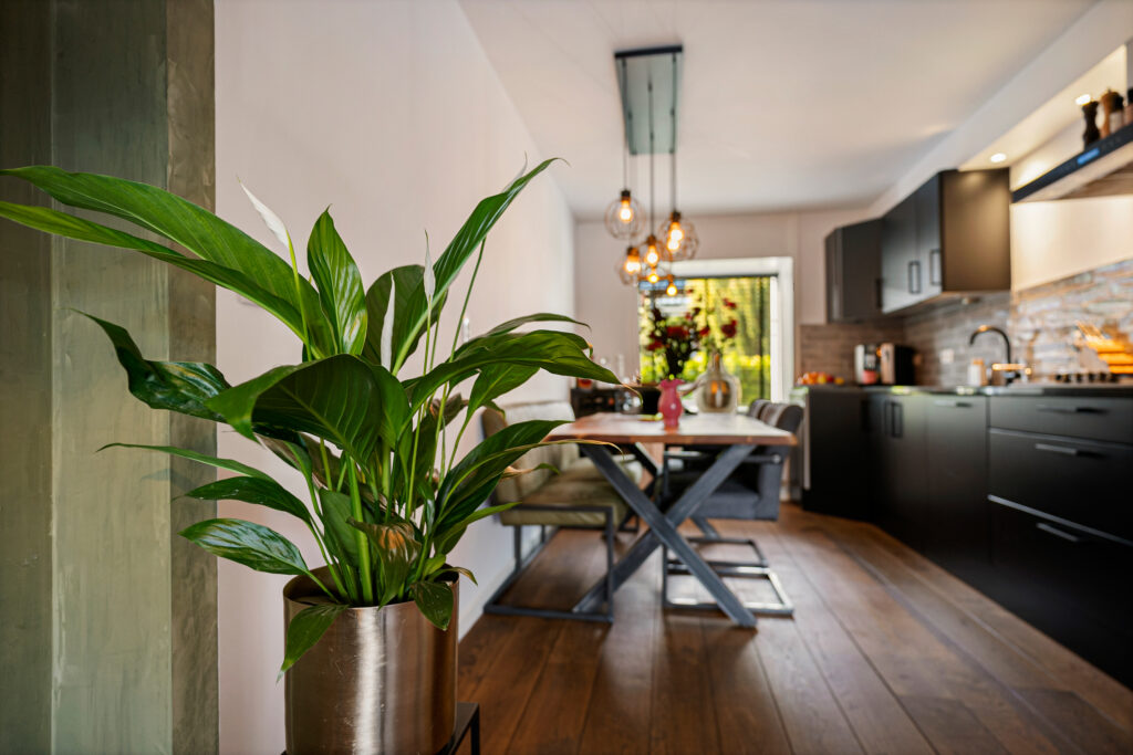 Kruiswortel 2 – Foto 2