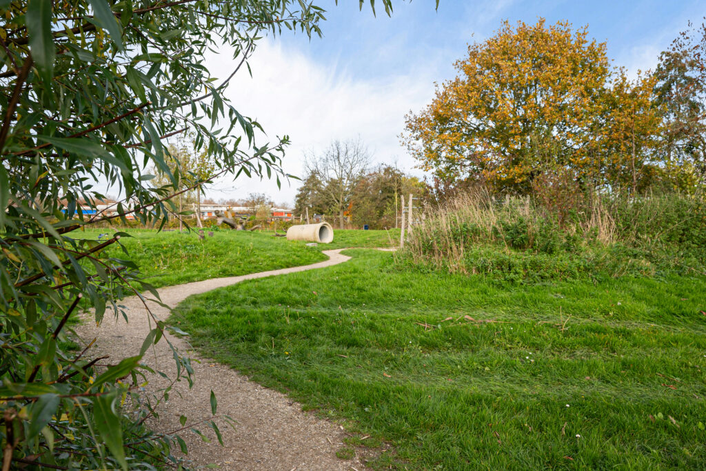 Kruiswortel 2 – Foto 26