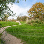 Kruiswortel 2 – Foto 26