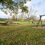 Kruiswortel 2 – Foto 28