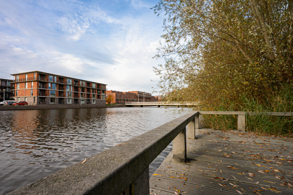 Kruiswortel 2 – Foto 29