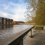 Kruiswortel 2 – Foto 29