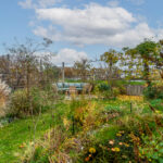 Gildenborch 18 – Foto 45