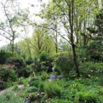 Catalonië 35 – Foto 7