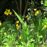 Catalonië 35 – Foto 4