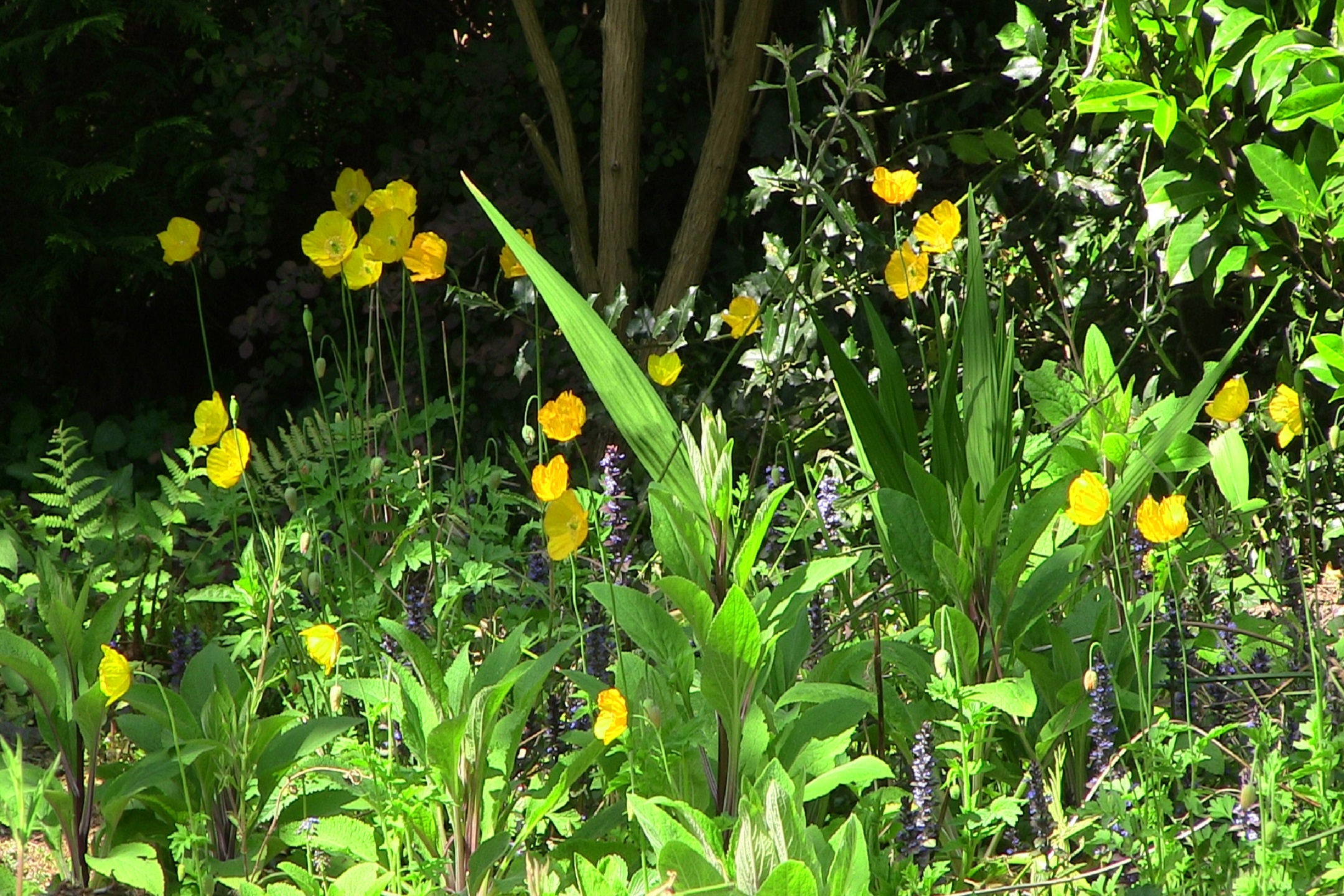 Catalonië 35 – Foto 4