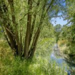 Catalonië 35 – Foto 11