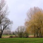 Catalonië 35 – Foto 10