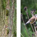 Catalonië 35 – Foto 8