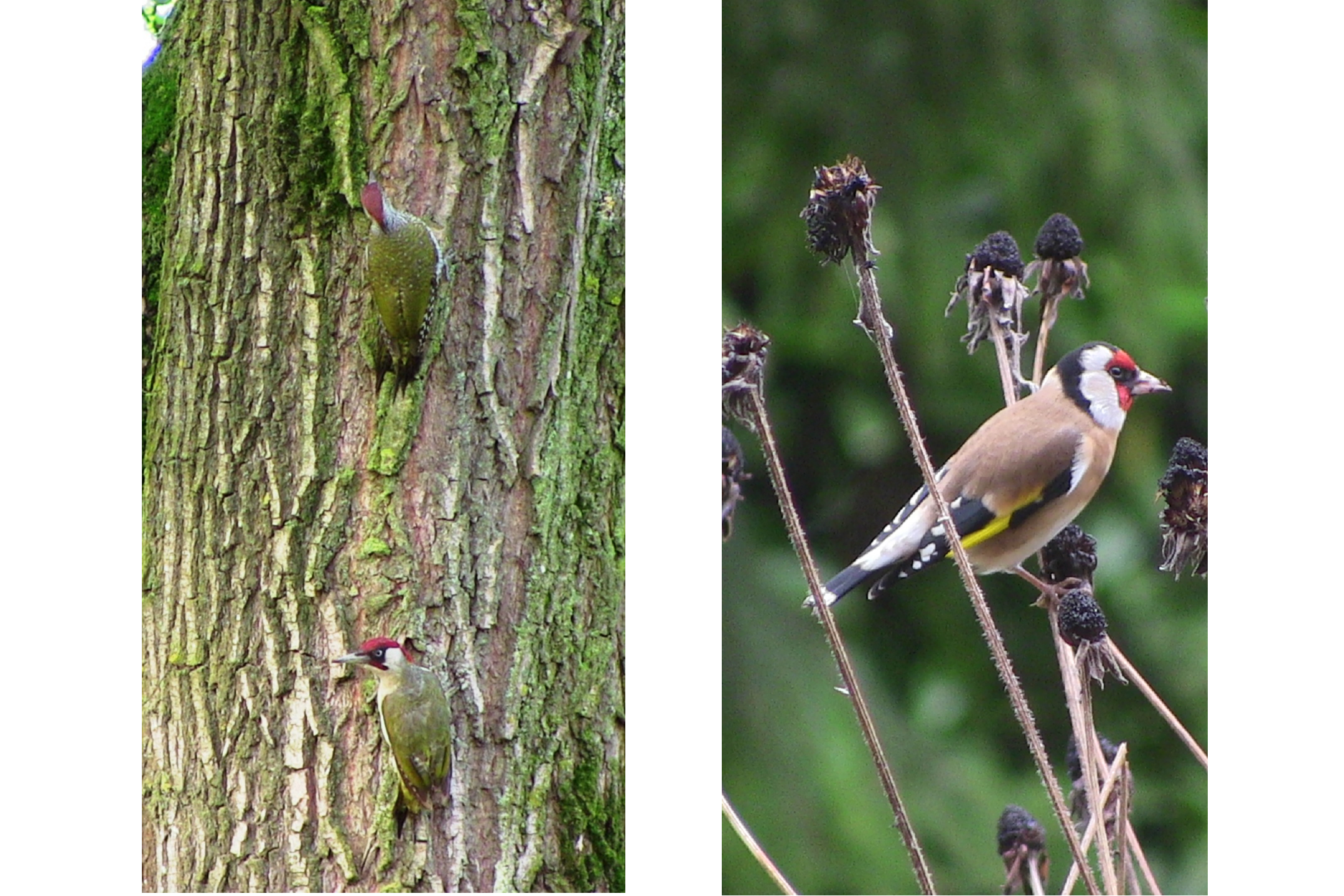 Catalonië 35 – Foto 8