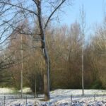 Catalonië 35 – Foto 35