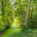 Heuvelweg 24 – Foto 30