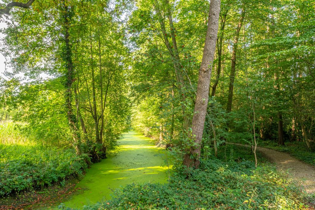 Heuvelweg 24 – Foto 30