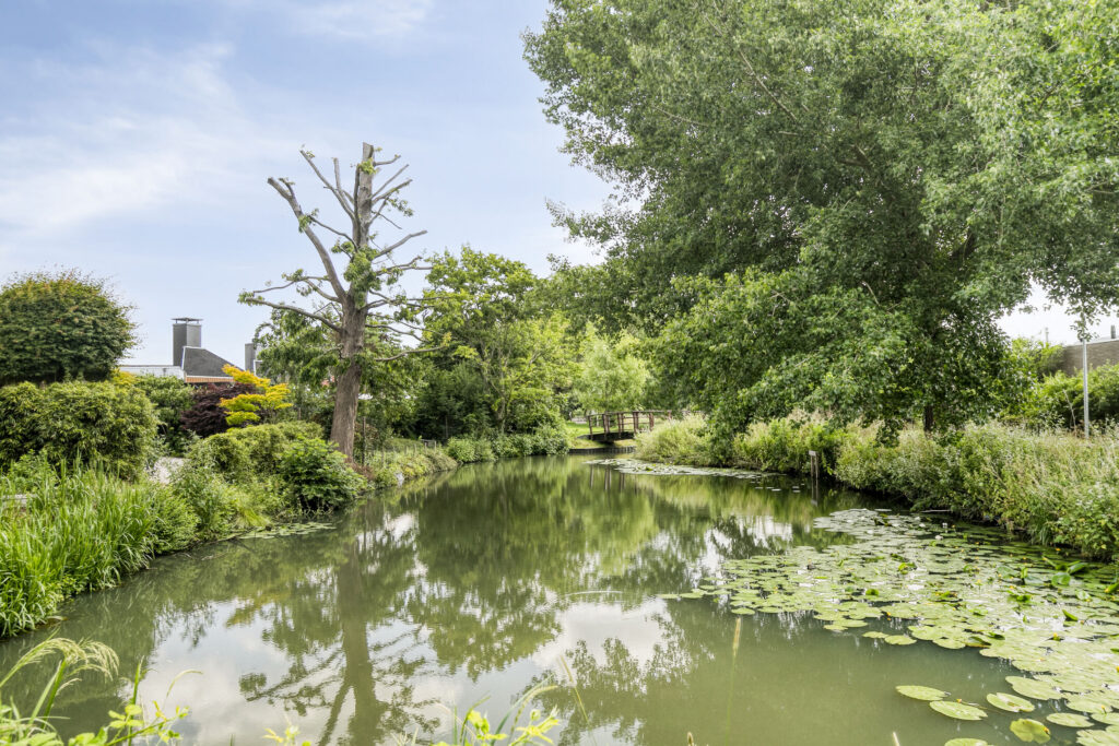 Dammolen 124 – Foto 33