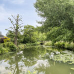 Dammolen 124 – Foto 33