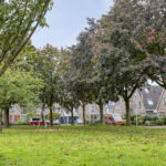 Druivengaarde 24 – Foto 34