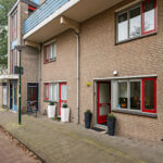 Antilopespoor 484 – Foto 22