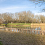 Albatros 12 – Foto 25