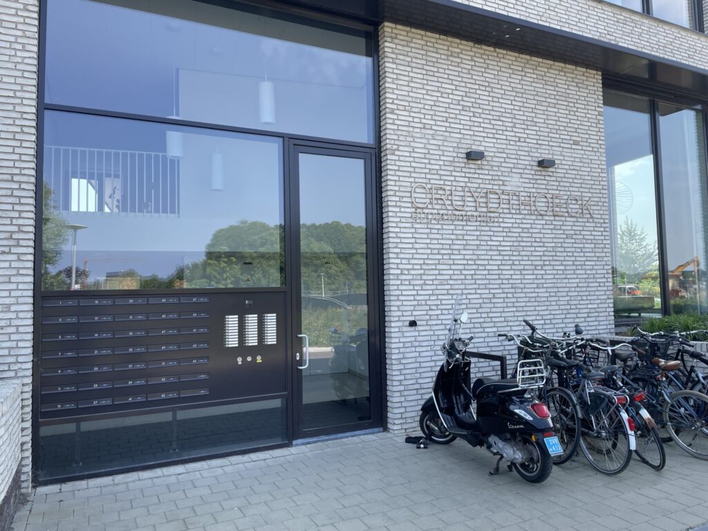 Wilde rucolavliet 3 – Foto 2