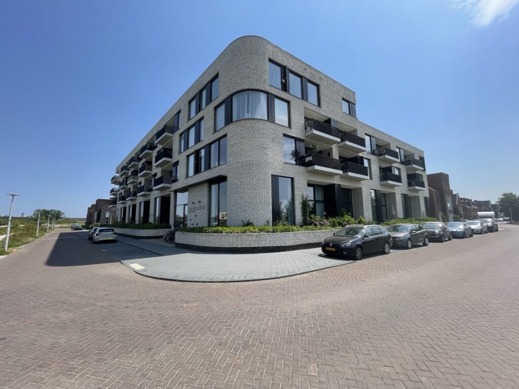 Wilde rucolavliet 3 – Foto