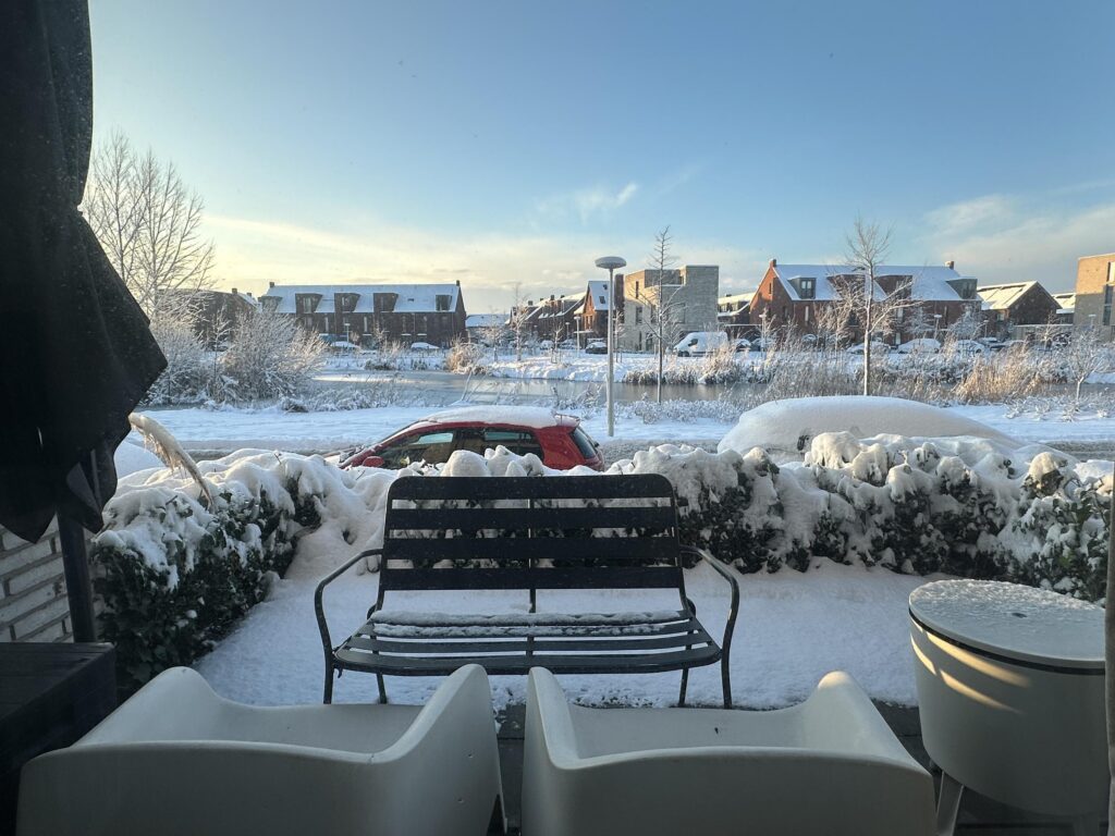 Wilde rucolavliet 3 – Foto 13