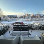 Wilde rucolavliet 3 – Foto 13