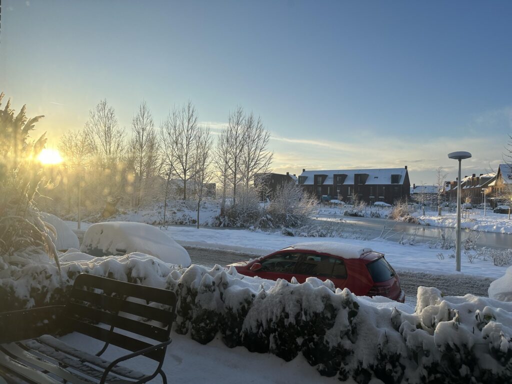 Wilde rucolavliet 3 – Foto 14