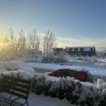 Wilde rucolavliet 3 – Foto 14