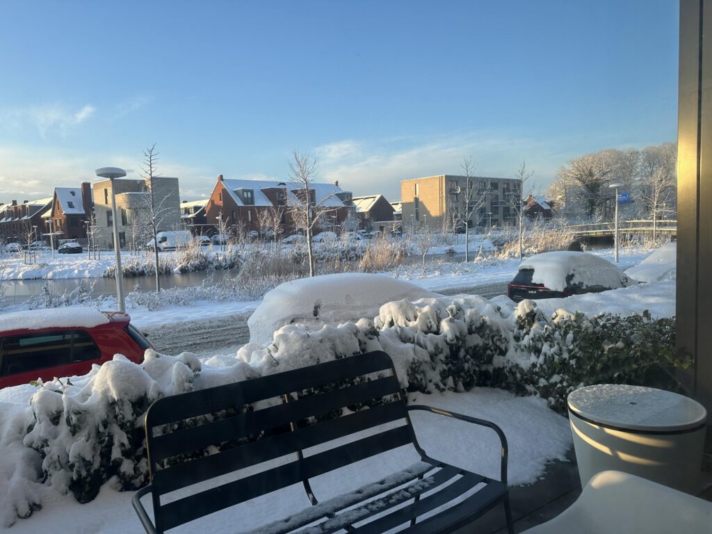 Wilde rucolavliet 3 – Foto 12