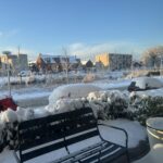 Wilde rucolavliet 3 – Foto 12