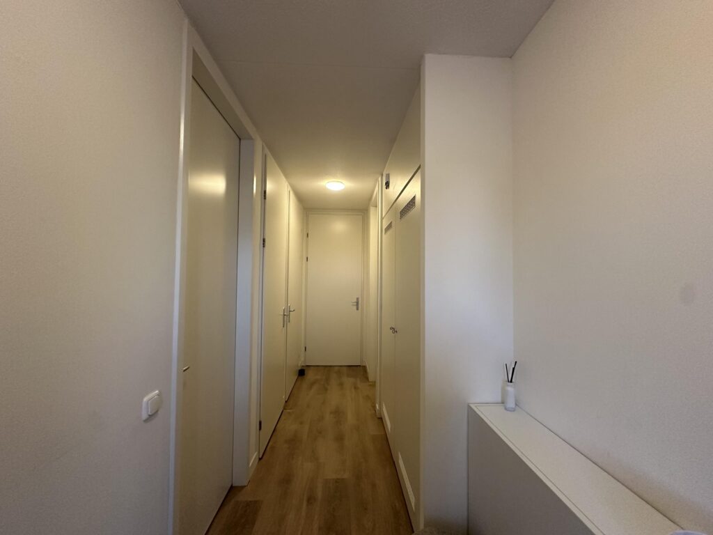 Wilde rucolavliet 3 – Foto 3