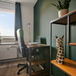 Muurkruid 4 – Foto 21