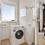 Muurkruid 4 – Foto 28