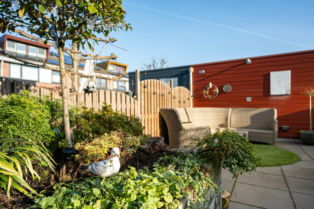 Muurkruid 4 – Foto 17