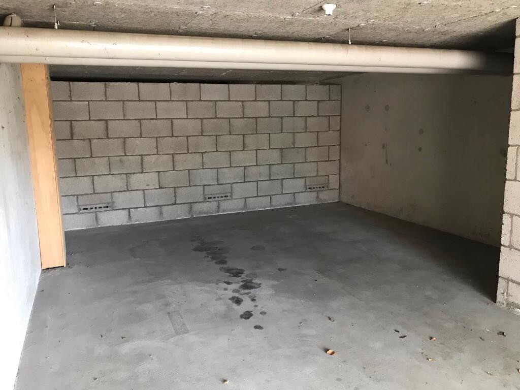 Appelvink 5 – Foto