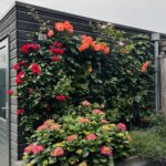 1ste Poortstraat 7 – Foto 43