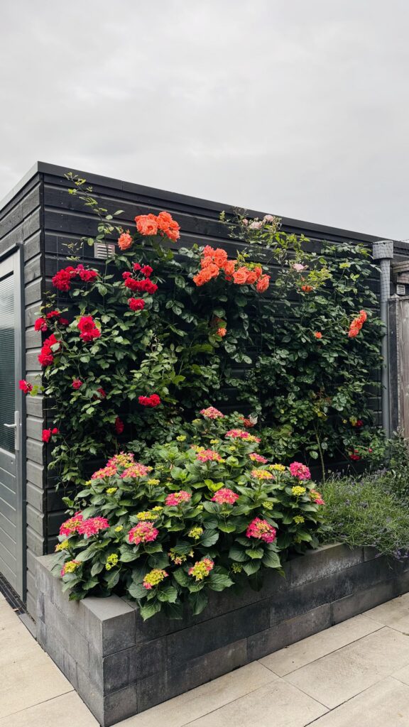 1ste Poortstraat 7 – Foto 43