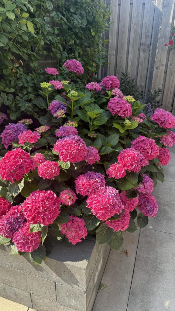 1ste Poortstraat 7 – Foto 45