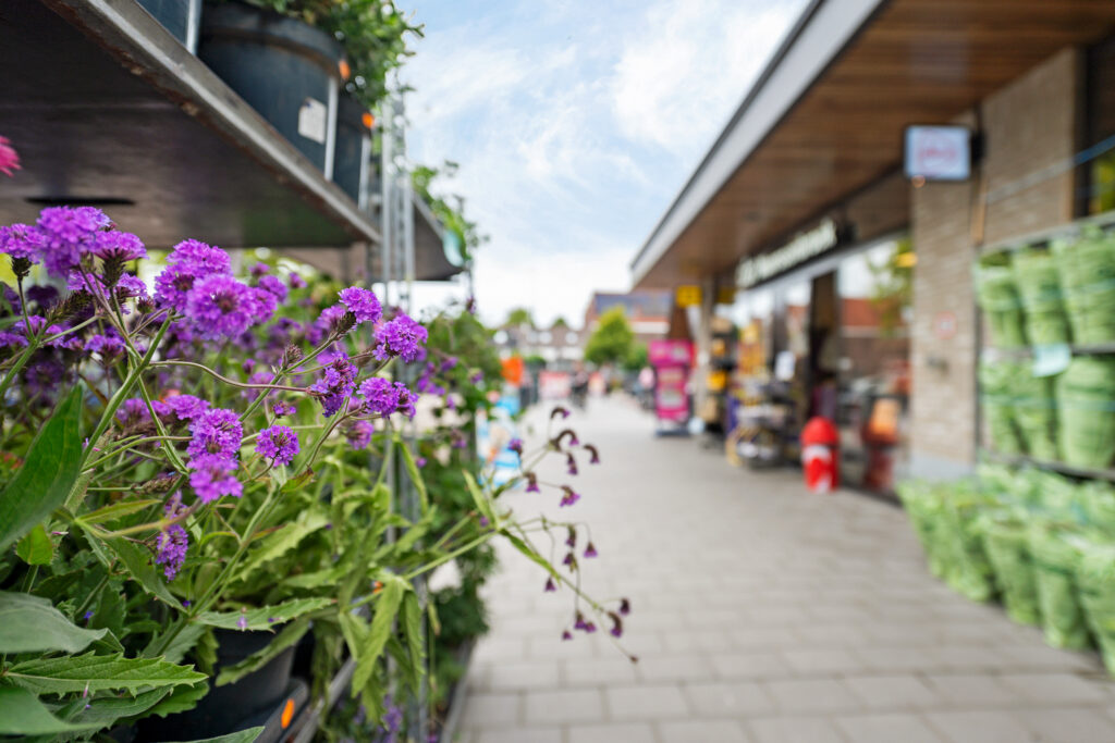 Zwanenkamp 451 – Foto 21