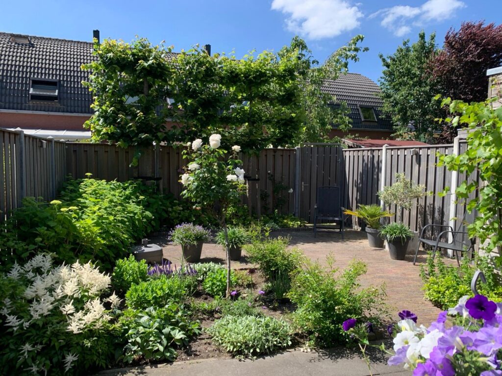 Wijnbouw 11 – Foto 35