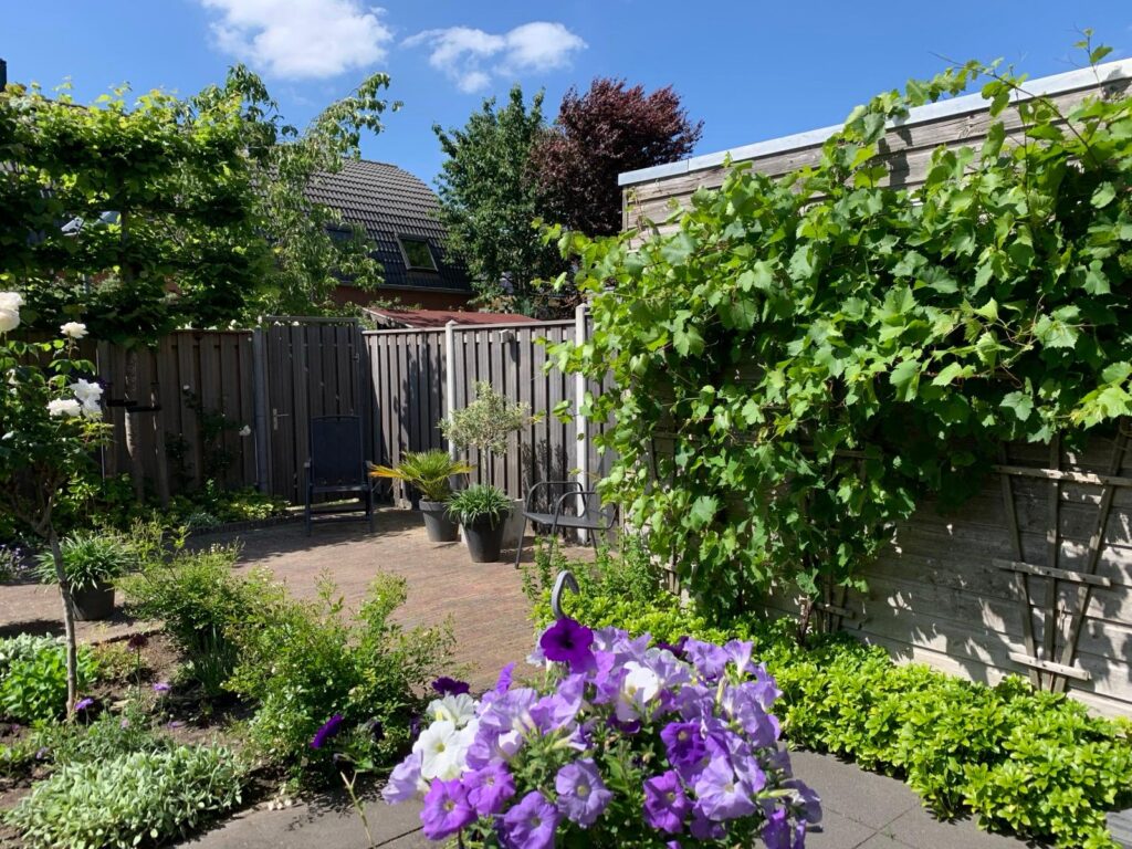 Wijnbouw 11 – Foto 32