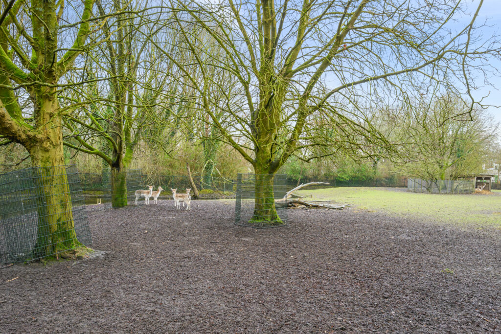 Othellolaan 12 – Foto 31