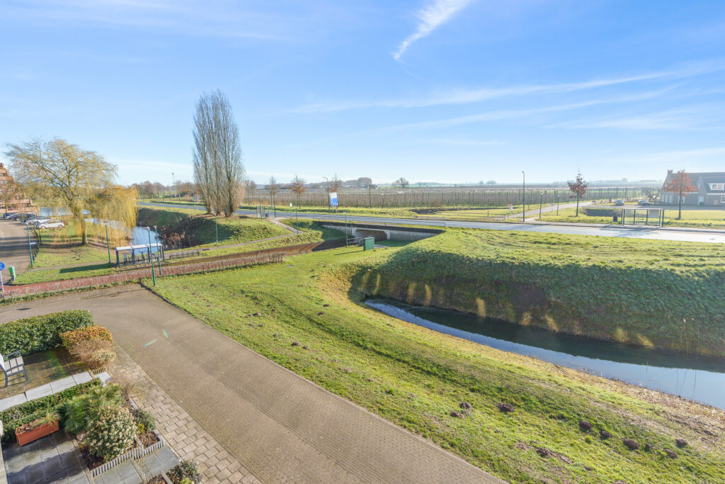 Zilvermos 58 – Foto 24