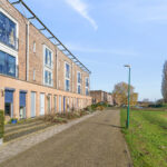 Zilvermos 58 – Foto 30