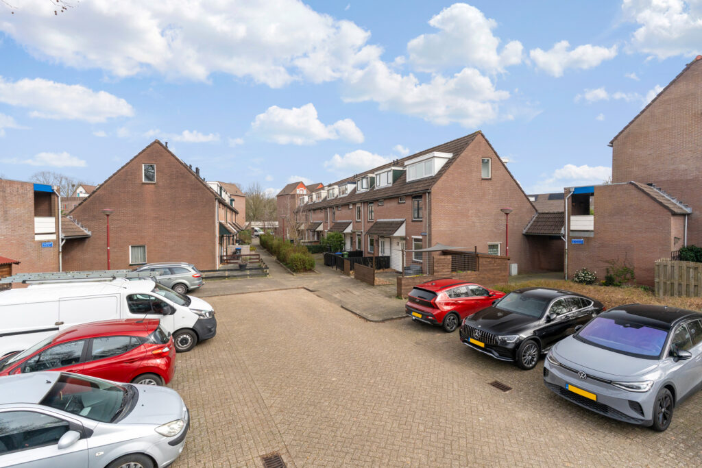 Zilverfazant 2 – Foto 36