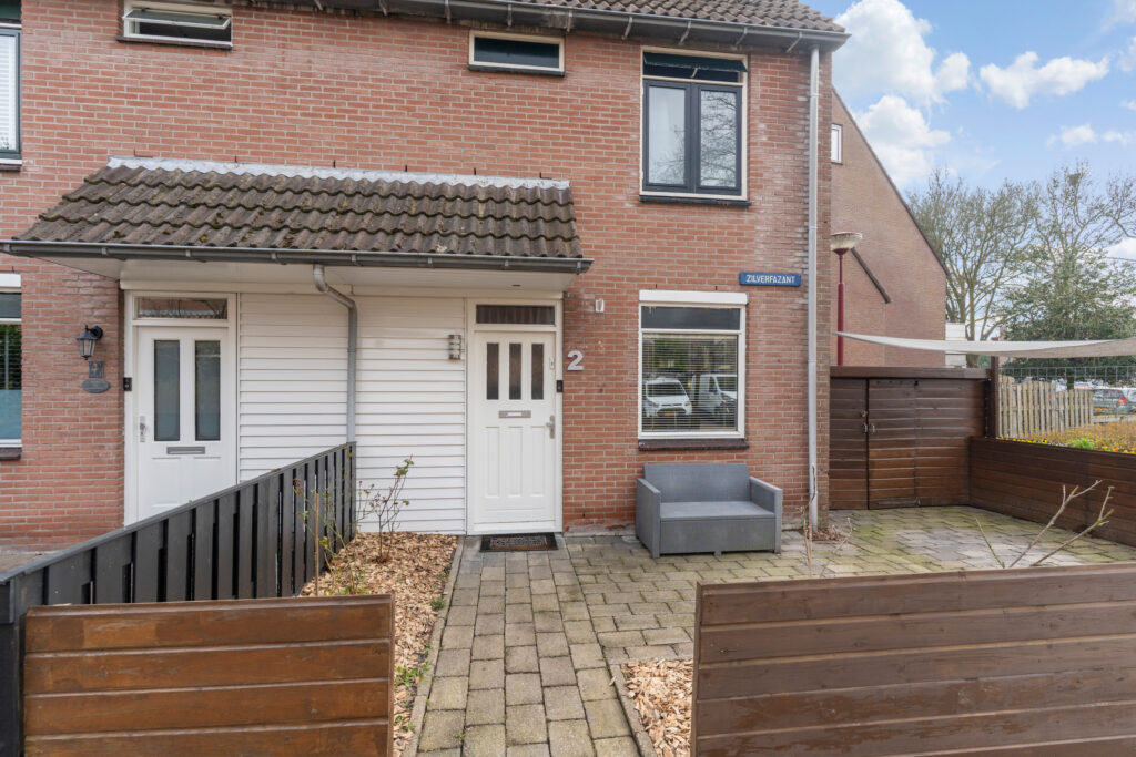 Zilverfazant 2 – Foto 3