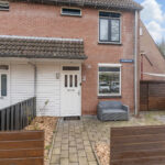 Zilverfazant 2 – Foto 3