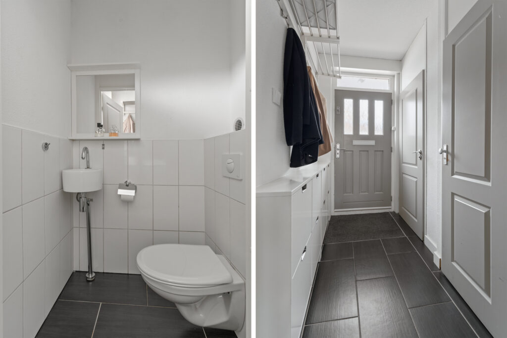 Zilverfazant 2 – Foto 5