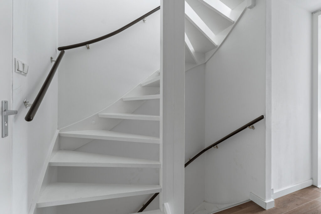 Zilverfazant 2 – Foto 17